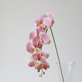 9-Head Butterfly Orchid - Eveléa Studio faux flower