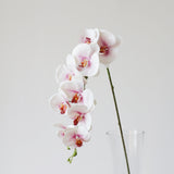 9-Head Butterfly Orchid - Eveléa Studio faux flower