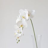 9-Head Butterfly Orchid - Eveléa Studio faux flower