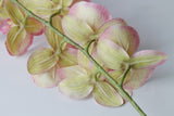 9-Head Butterfly Orchid - Eveléa Studio faux flower