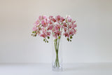 Pink faux butterfly orchids arranged in a clear glass cylinder vase