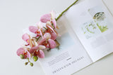 Pink faux orchid stem styled flat on an open magazine spread