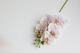 5-Head Butterfly Orchid - Eveléa Studio faux flower