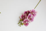 5-Head Butterfly Orchid - Eveléa Studio faux flower