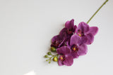 5-Head Butterfly Orchid - Eveléa Studio faux flower