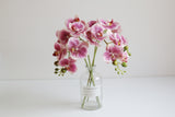 dark pink five-head butterfly orchid stems with green buds in a clear glass vase