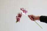 5-Head Butterfly Orchid - Eveléa Studio faux flower