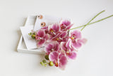 5-Head Butterfly Orchid - Eveléa Studio faux flower