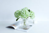 Compact light green hydrangea blooms in a short ruffled glass vase