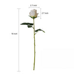 Vintage Rose Stem - Eveléa Studio faux flower