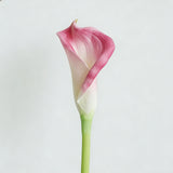 Calla Lily - Eveléa Studio faux flower