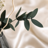 Eucalyptus Bloom Glass Vase Set - Eveléa Studio dried flower arrangement