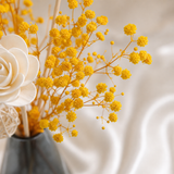 Baby's Breath Glass Vase Set - Eveléa Studio dried flower arrangement