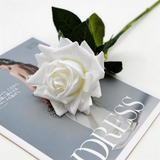 Long-Stem Rose - Eveléa Studio faux flower