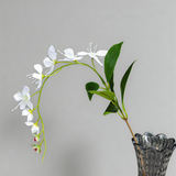 Begonia Flower Stem - Eveléa Studio faux flower