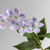 Begonia Flower Stem - Eveléa Studio faux flower