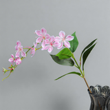 Begonia Flower Stem - Eveléa Studio faux flower