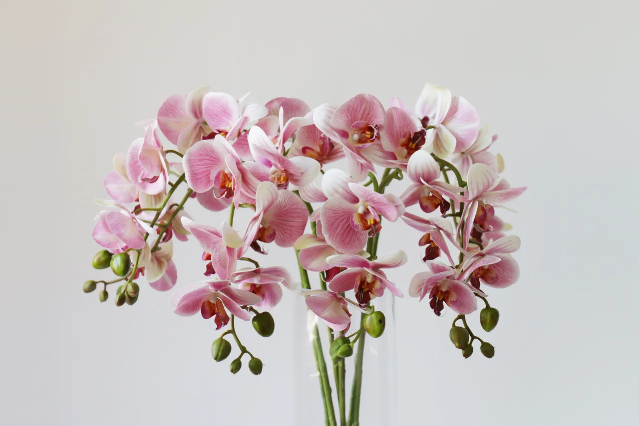 Eveléa handmade orchid